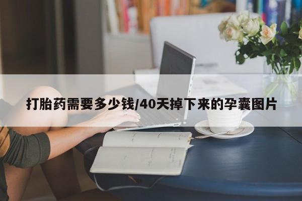 打胎药在线购买打胎药需要多少钱/40天掉下来的孕囊图片
